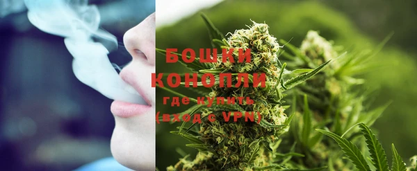 дмт Костерёво