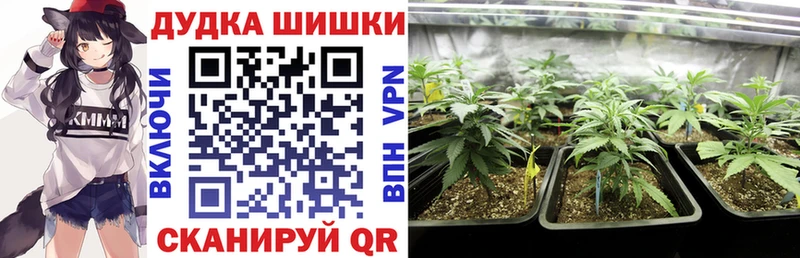 Купить  Хилок  Бошки Шишки Amnesia 